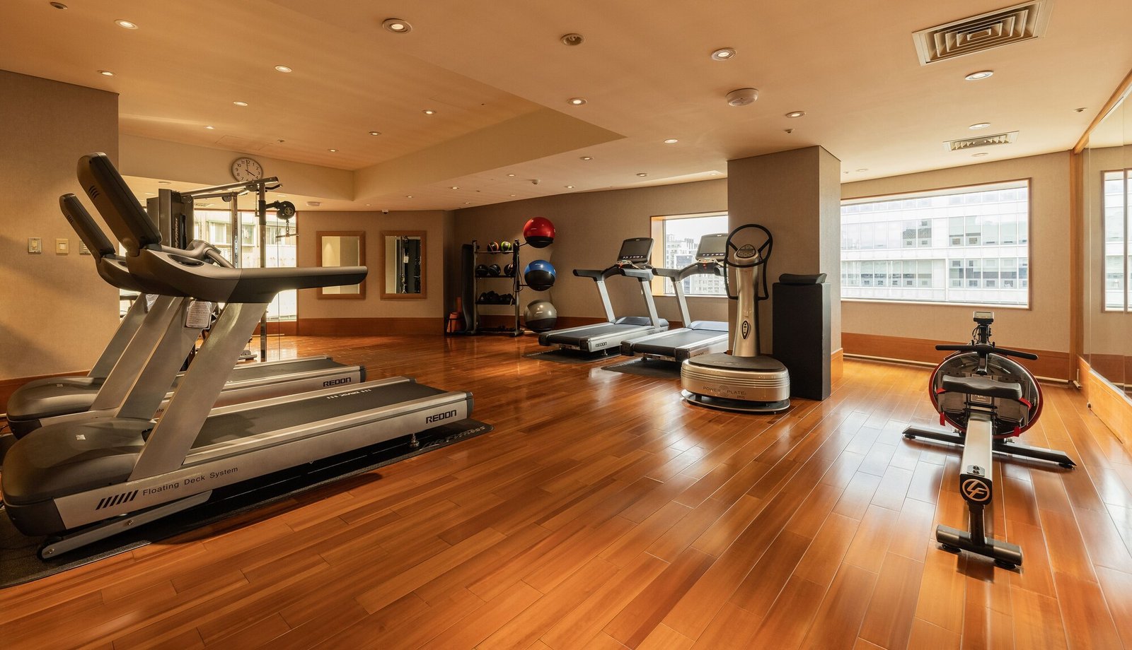 Hotel Metropolitan Premier, the gym