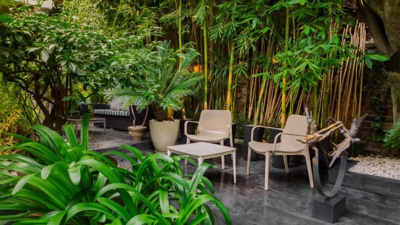 Hotel Villa Condesa — vibe