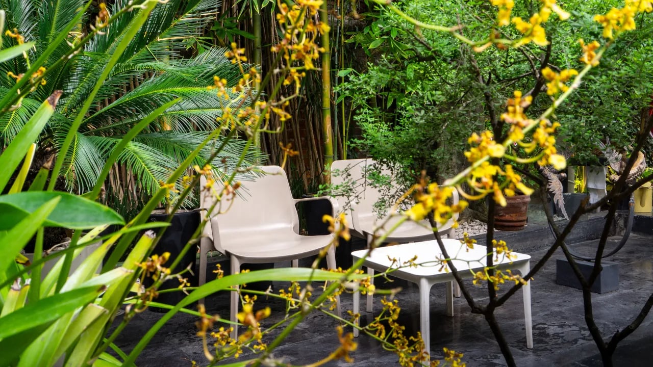 Hotel Villa Condesa — vibe