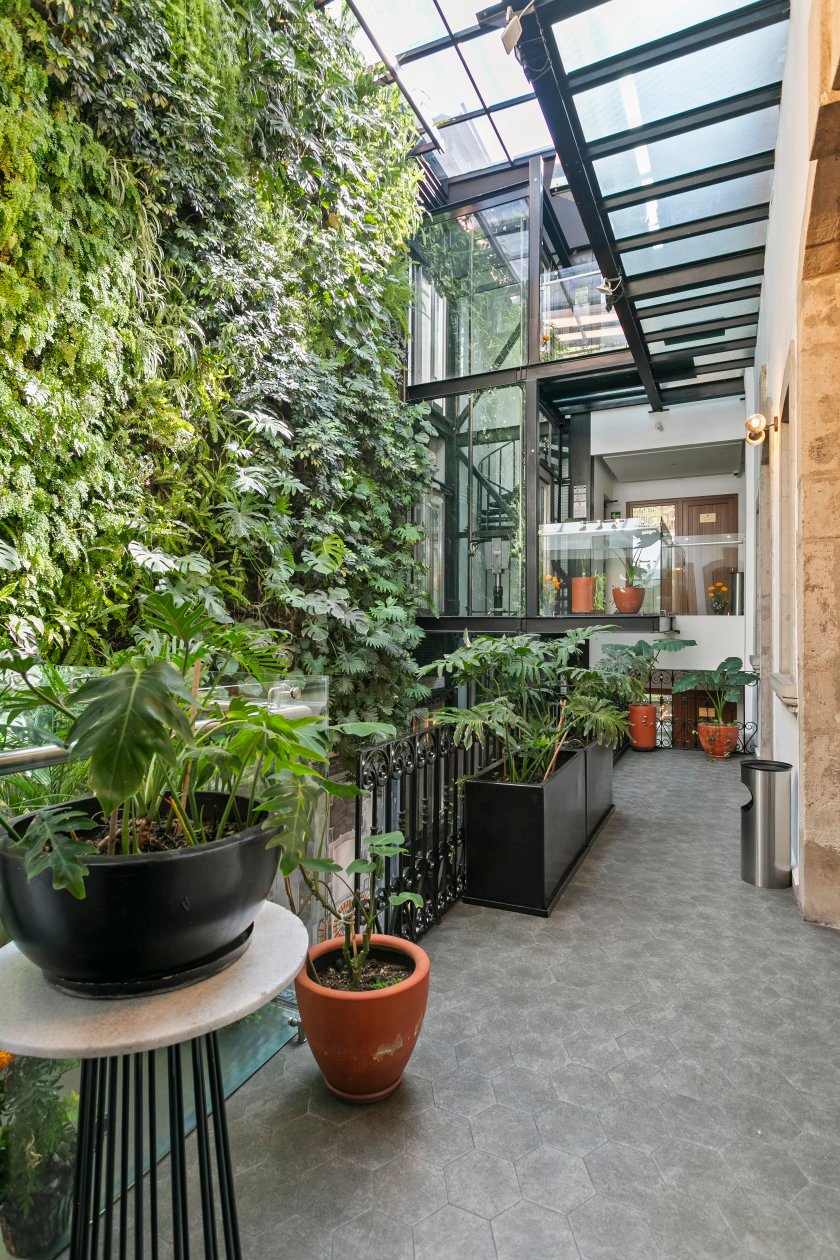 Hotel Boutique Casa Prim — vibe