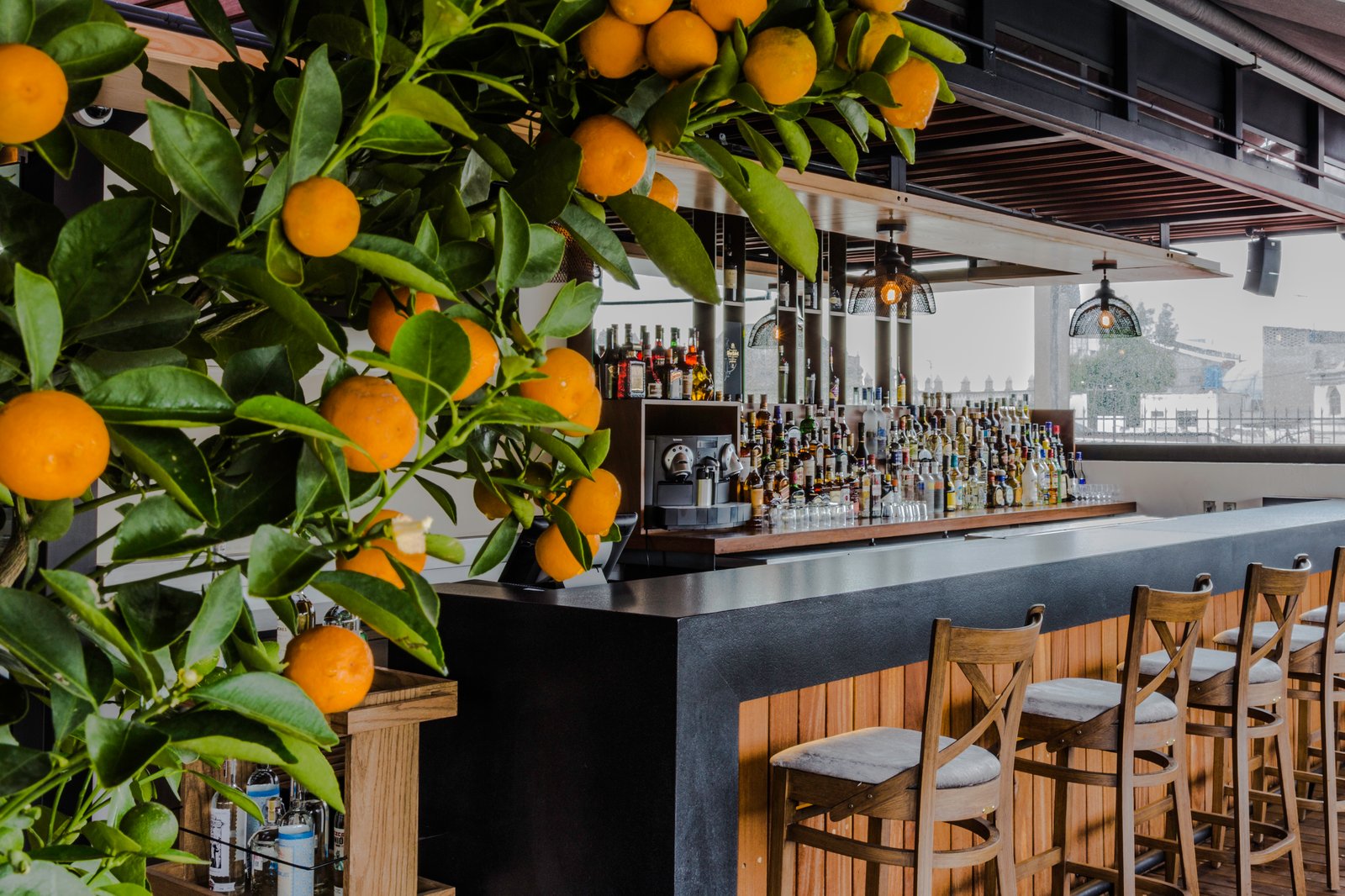 Domingo Santo — eat & drink