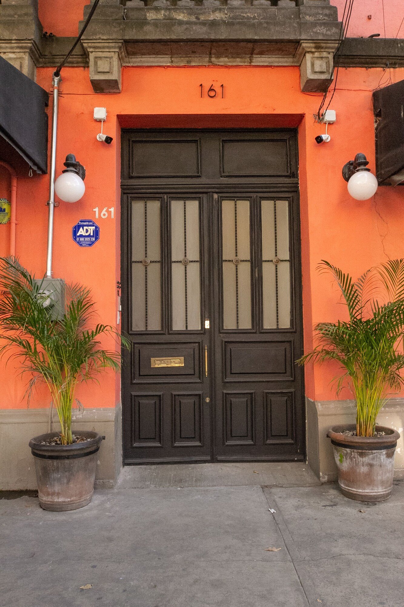 NaNa Vida CDMX — backstory
