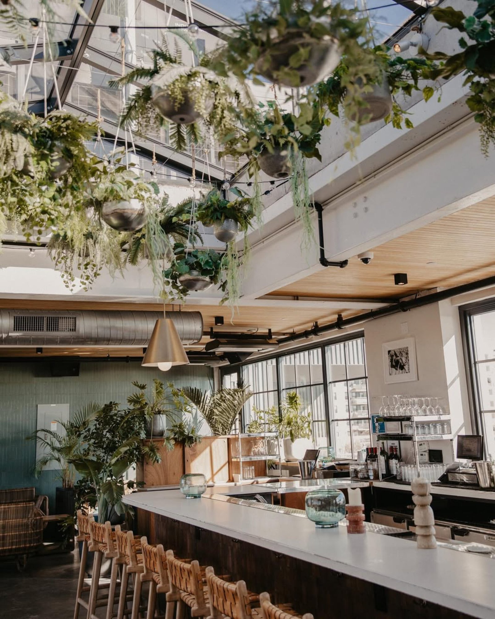 The Rockaway Hotel, the rooftop at the rockaway hotel