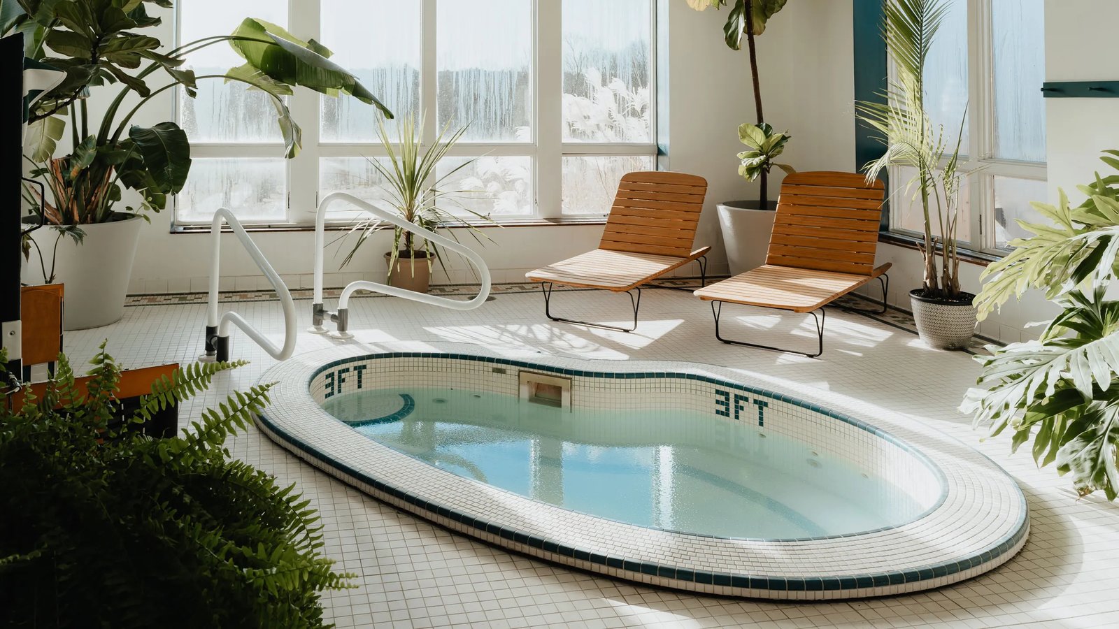 Hemlock Neversink — wellness