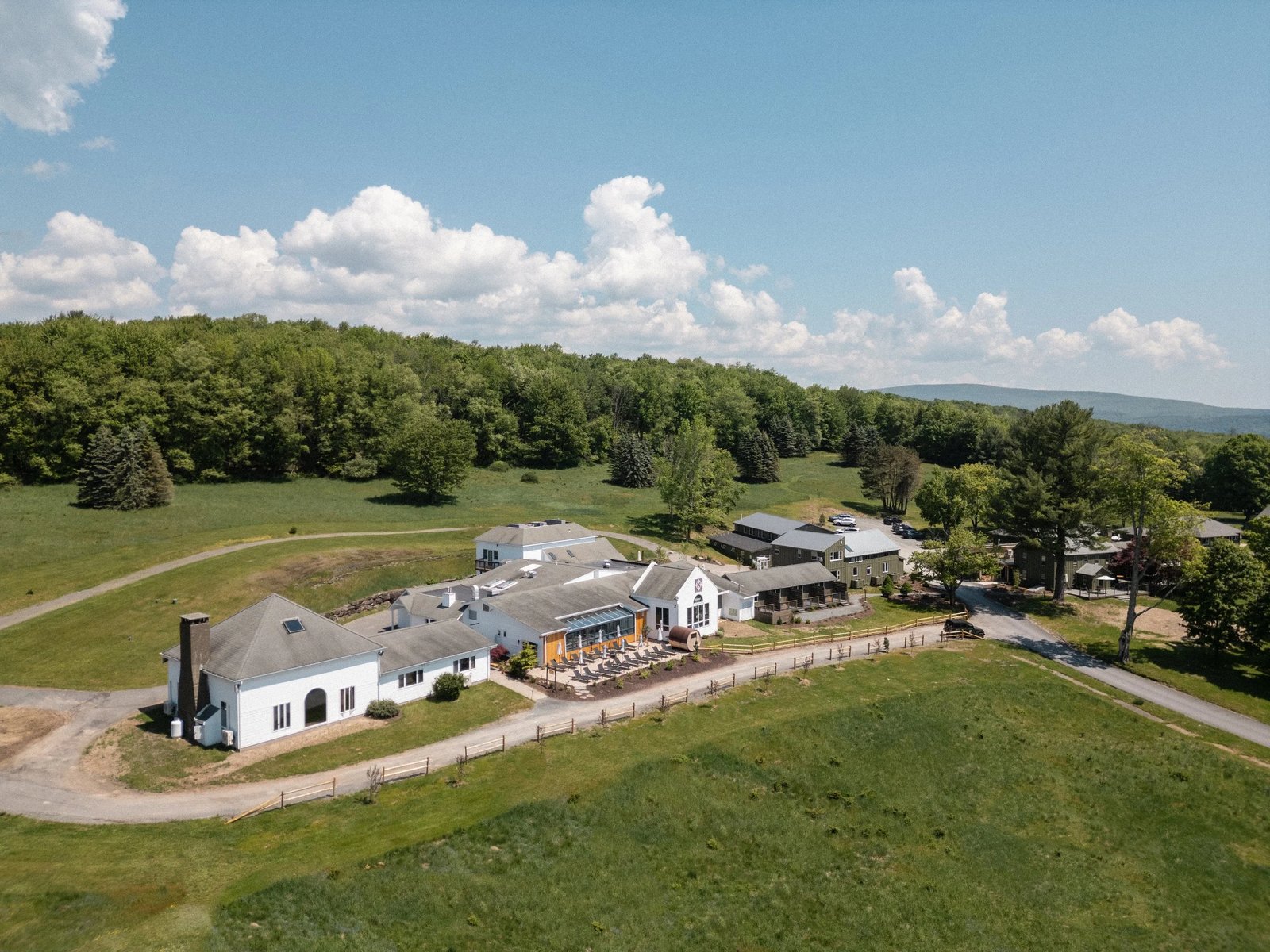 Hemlock Neversink