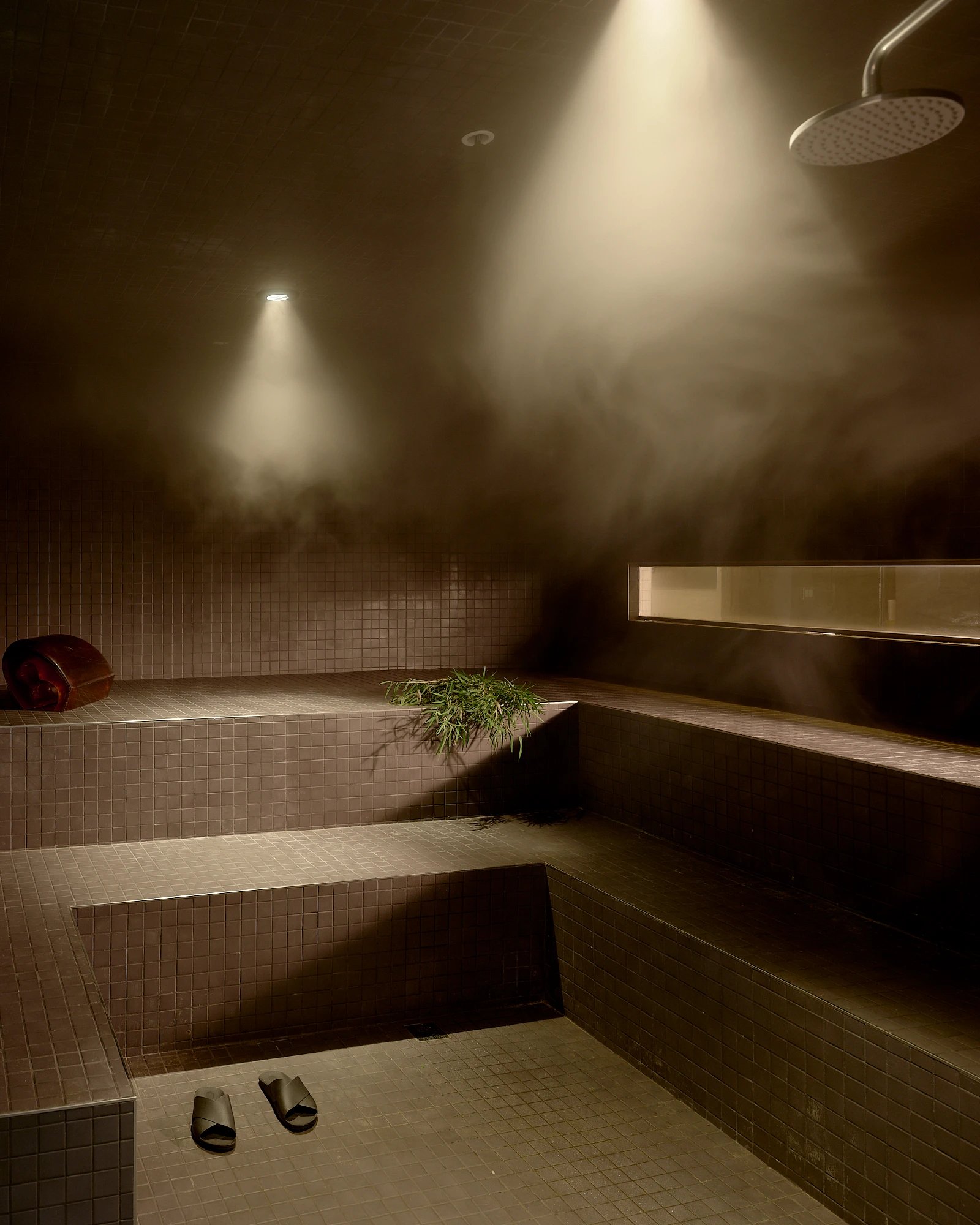 Pocketbook Hudson — wellness