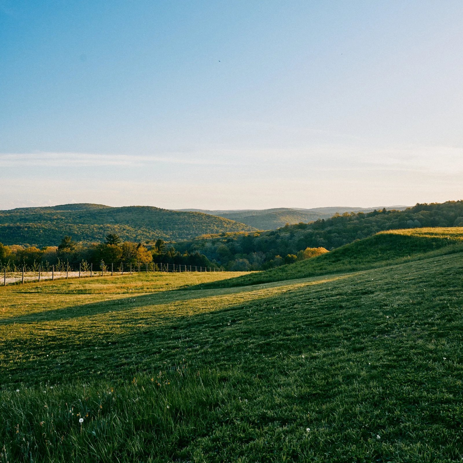 Seminary Hill Orchard & Cidery — vibe