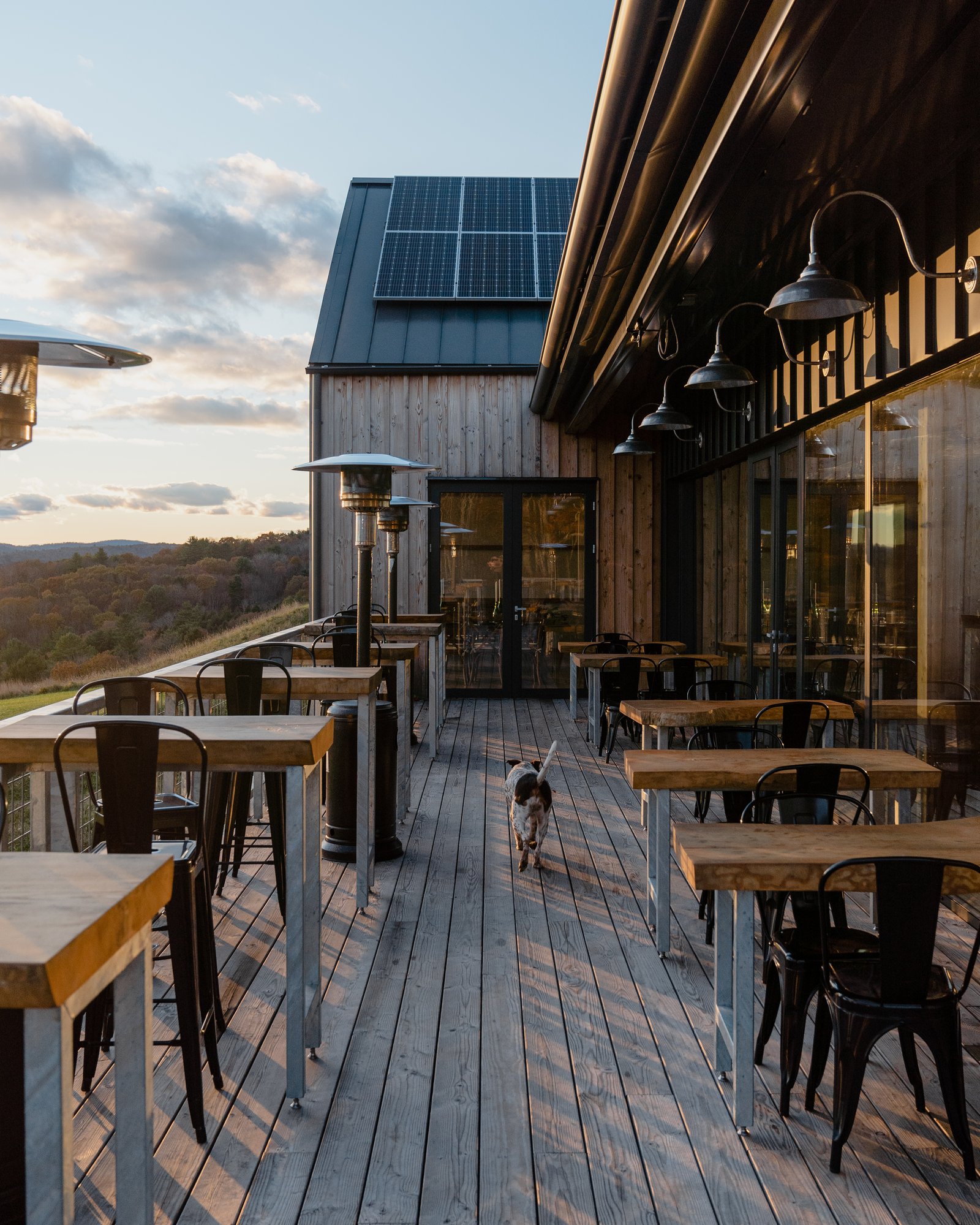 Seminary Hill Orchard & Cidery — vibe