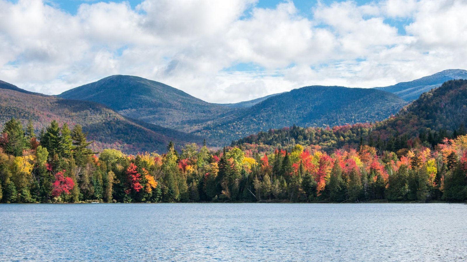 Laurel Lake Placid — vibe