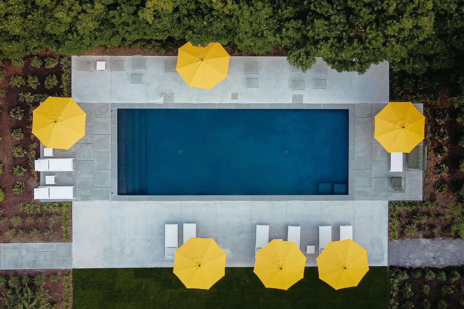 The Amelia Hudson — wellness