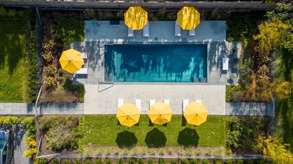 The Amelia Hudson — wellness