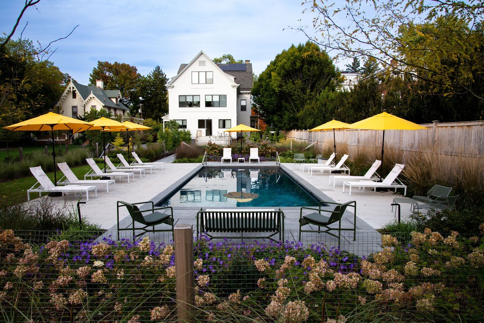 The Amelia Hudson — wellness