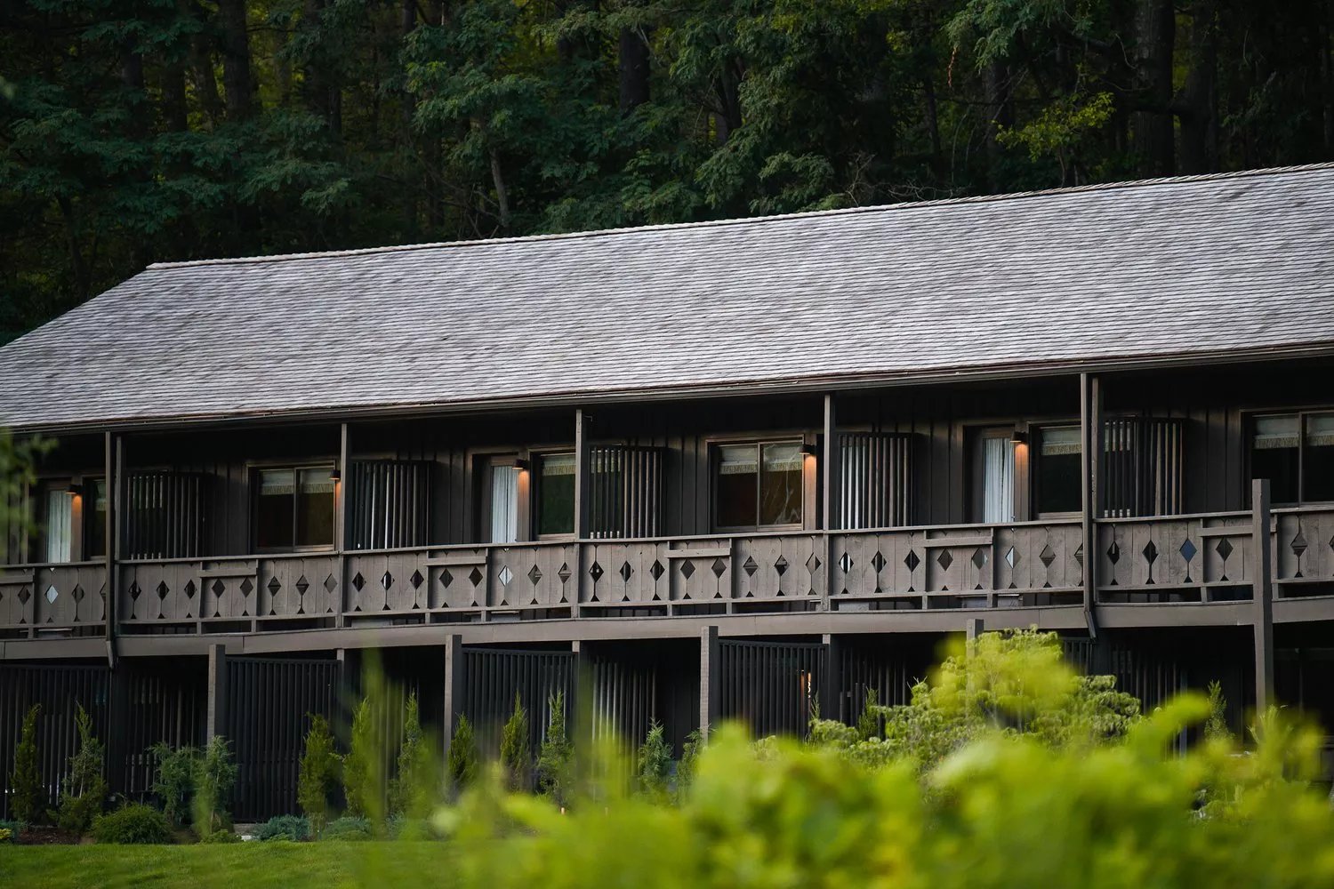 Little Cat Lodge — backstory