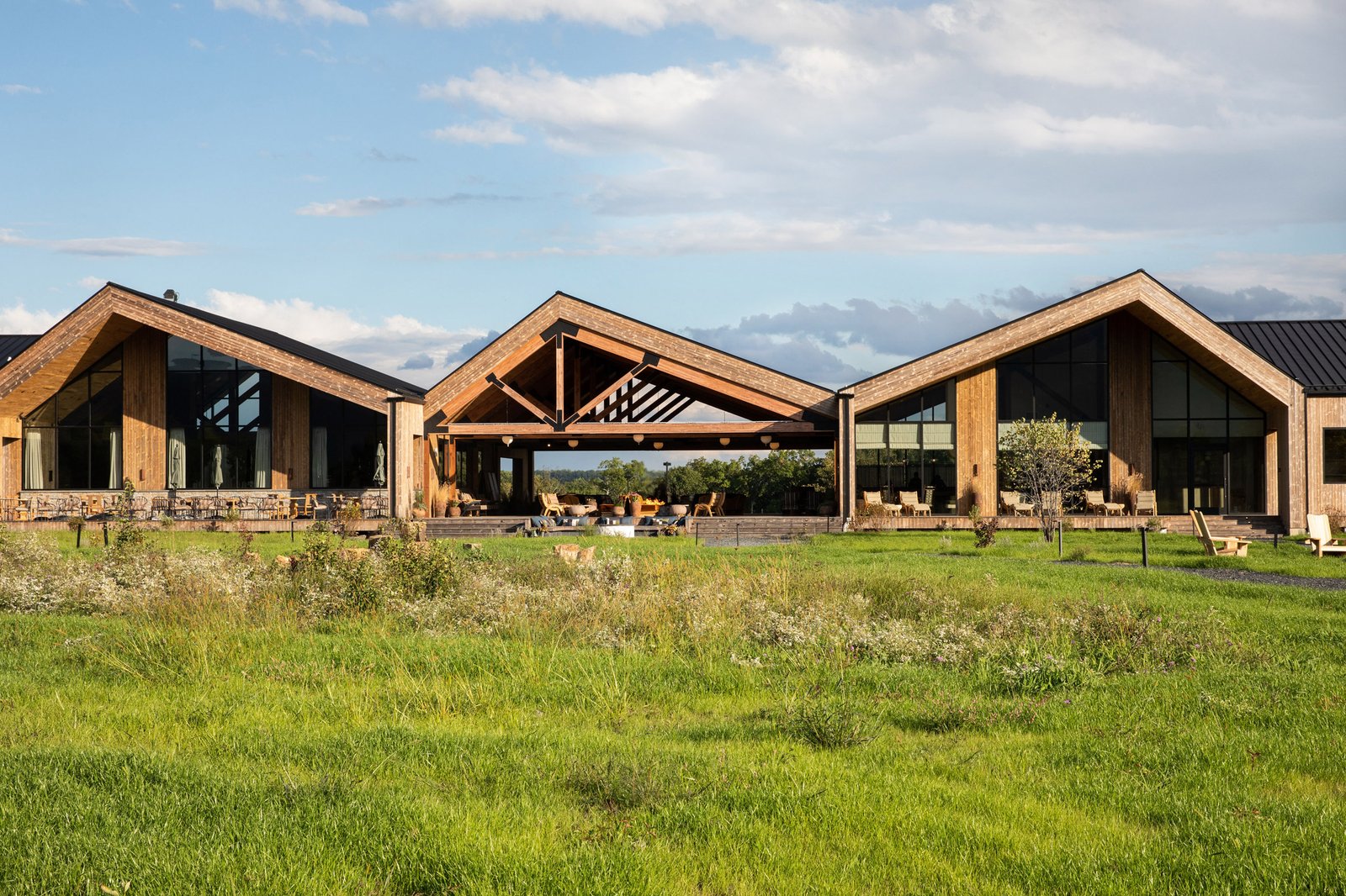 Wildflower Farms — backstory