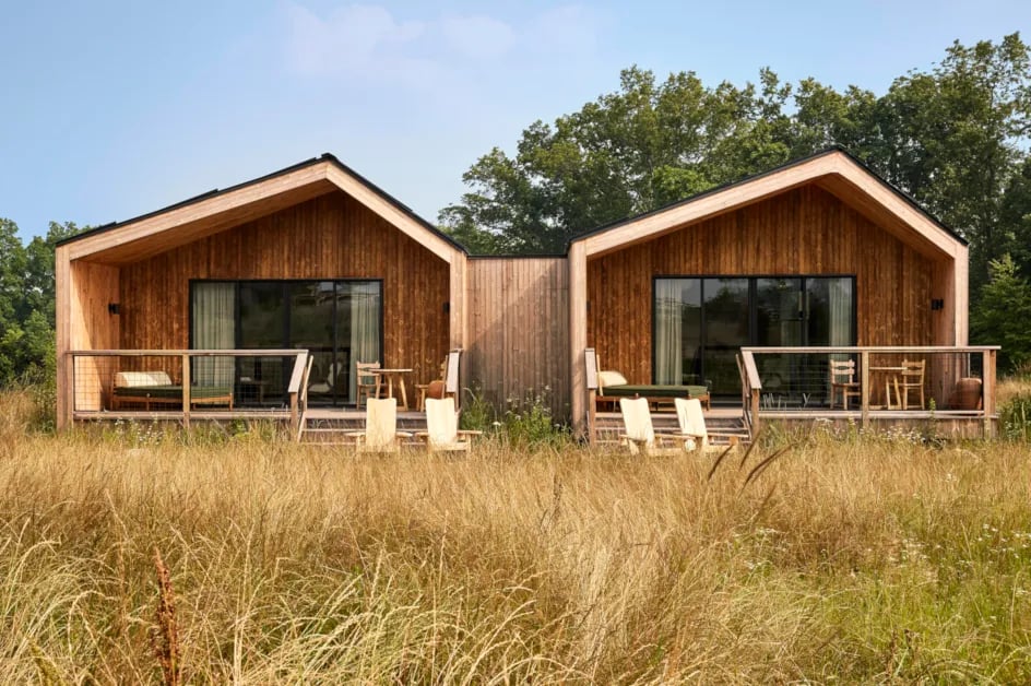 Wildflower Farms — backstory