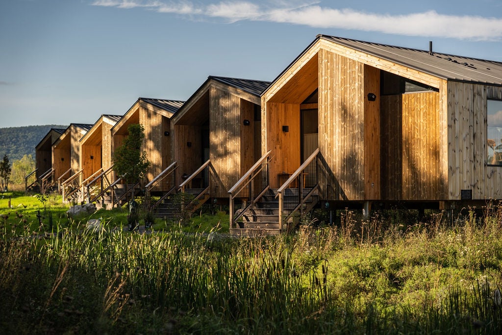 Wildflower Farms — backstory