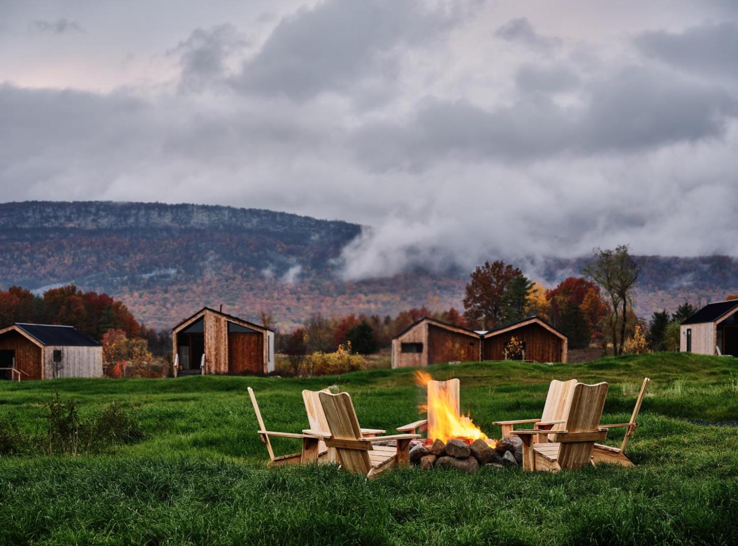 Wildflower Farms — vibe