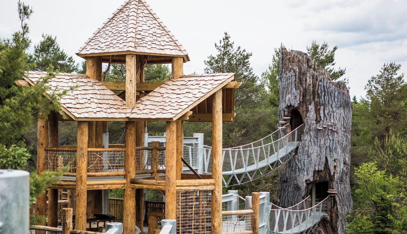 voco Saranac Lake NY - Waterfront by IHG, vibe