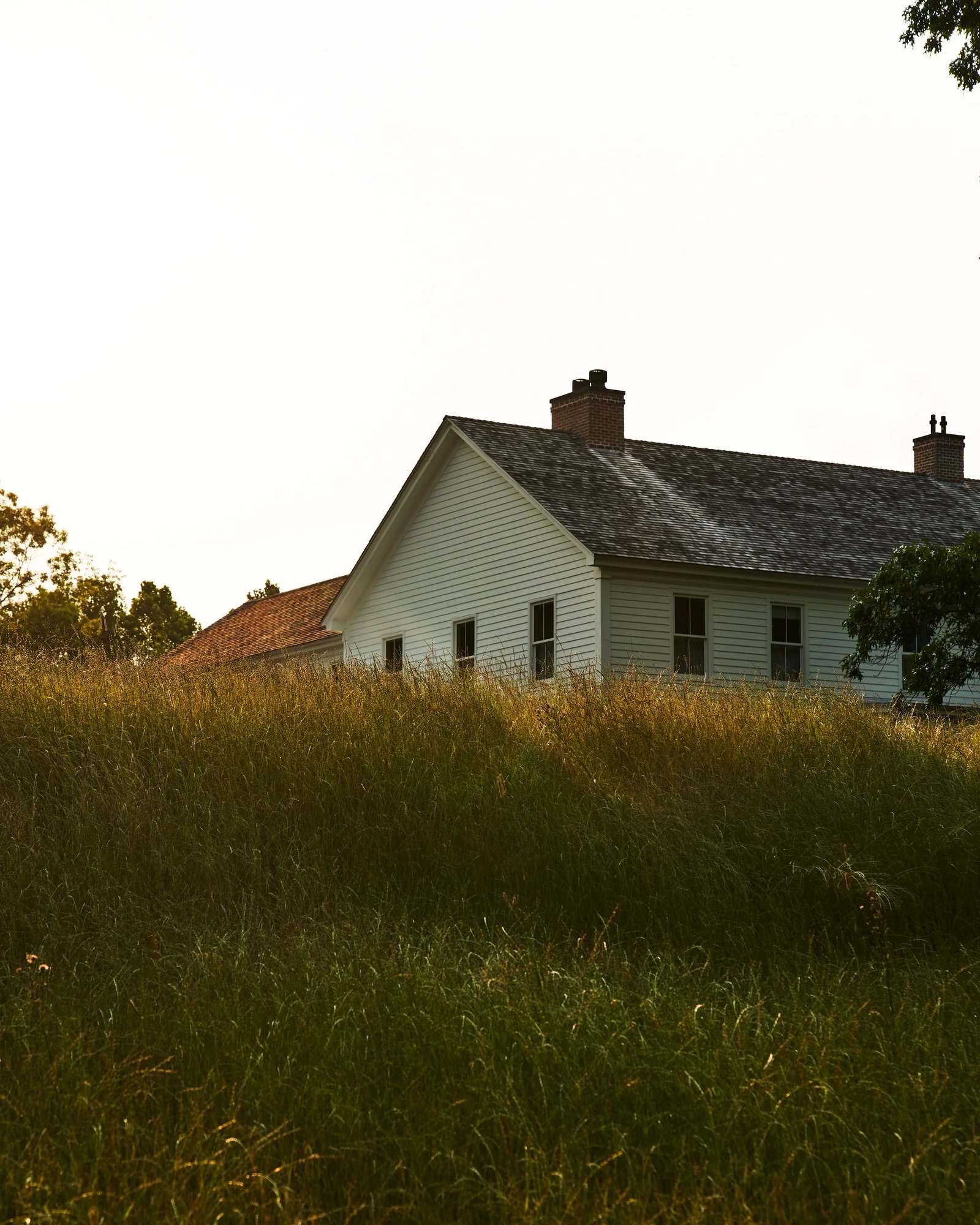 INNESS — backstory