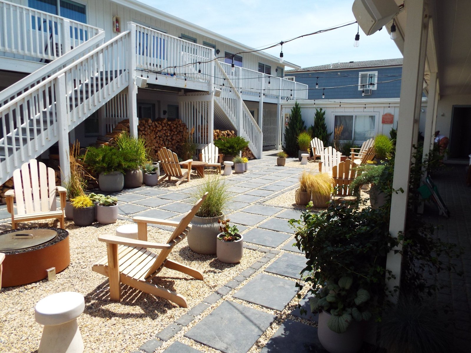 Daunt's Albatross Motel — vibe