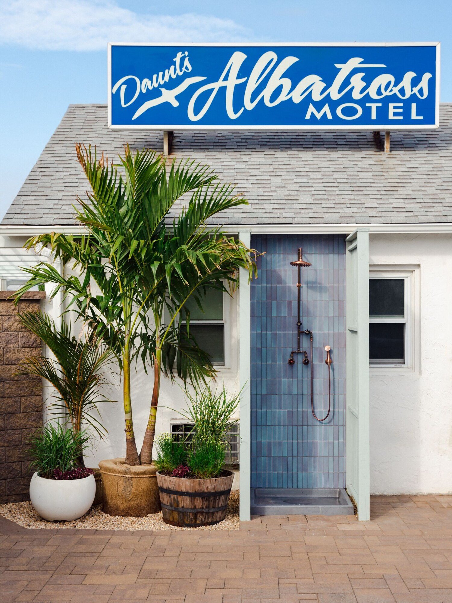 Daunt's Albatross Motel, the pool