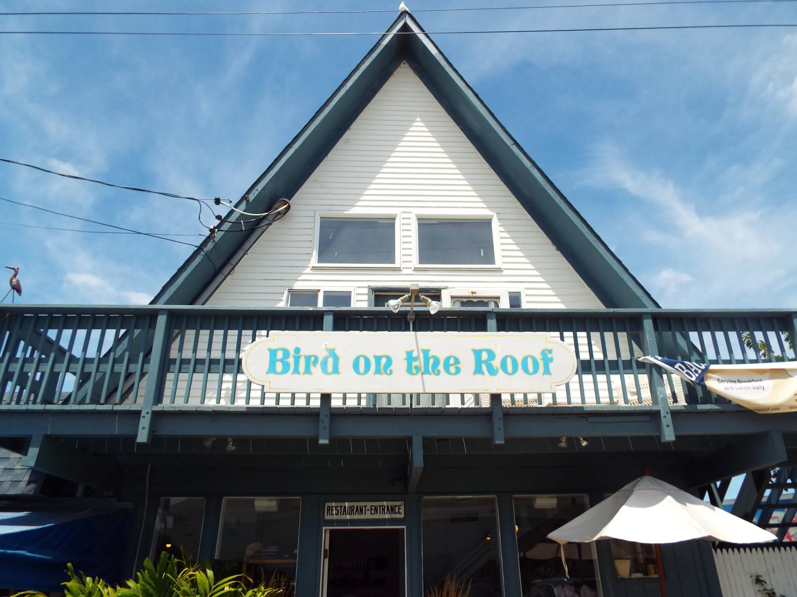 Daunt's Albatross Motel — backstory