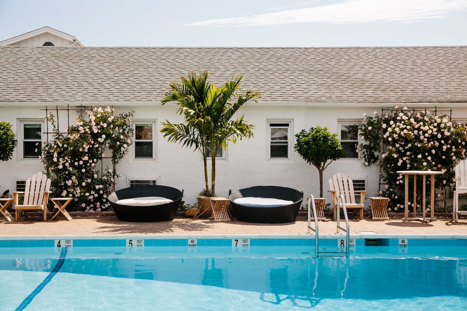 Daunt's Albatross Motel — wellness