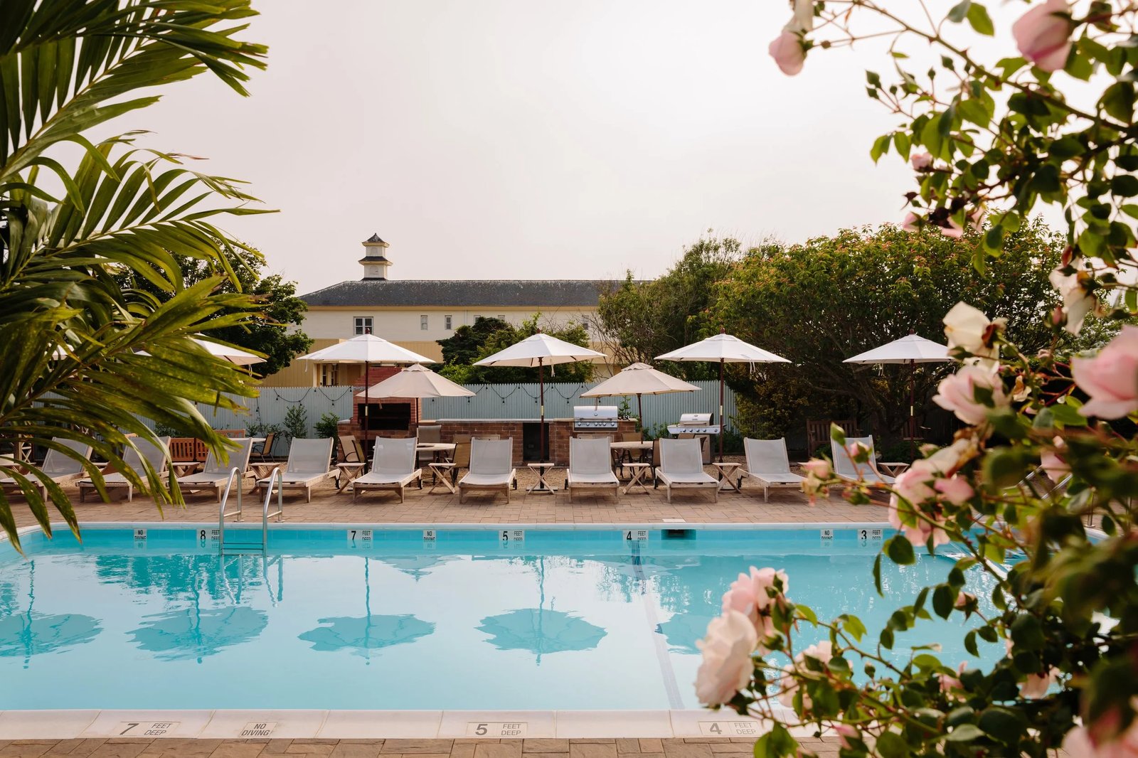 Daunt's Albatross Motel — wellness