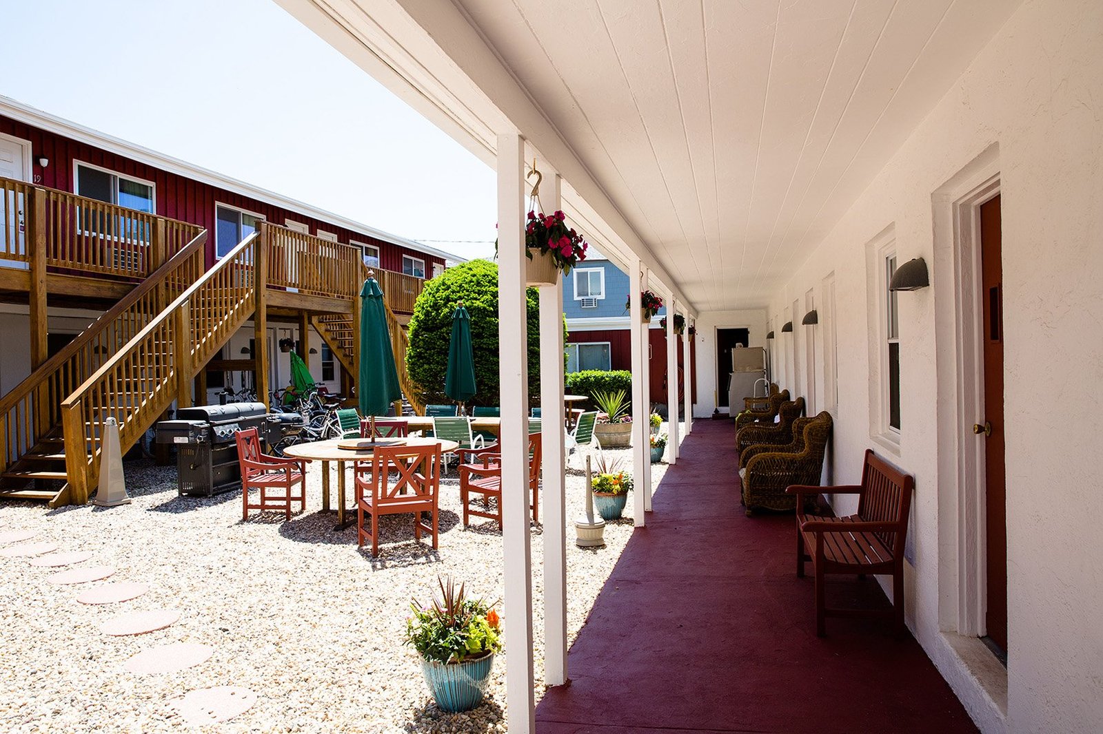 Daunt's Albatross Motel — backstory