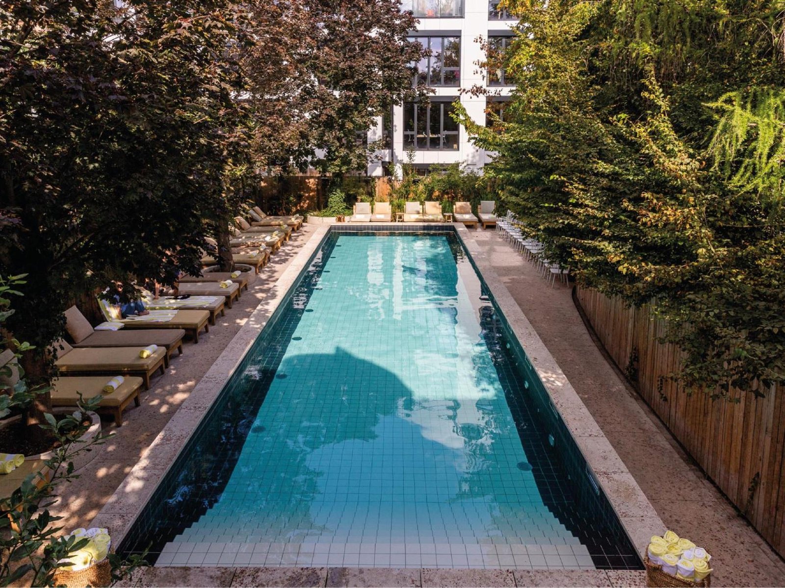 MOB HOUSE — wellness
