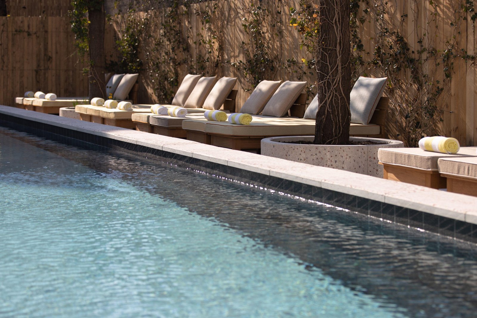 MOB HOUSE — wellness