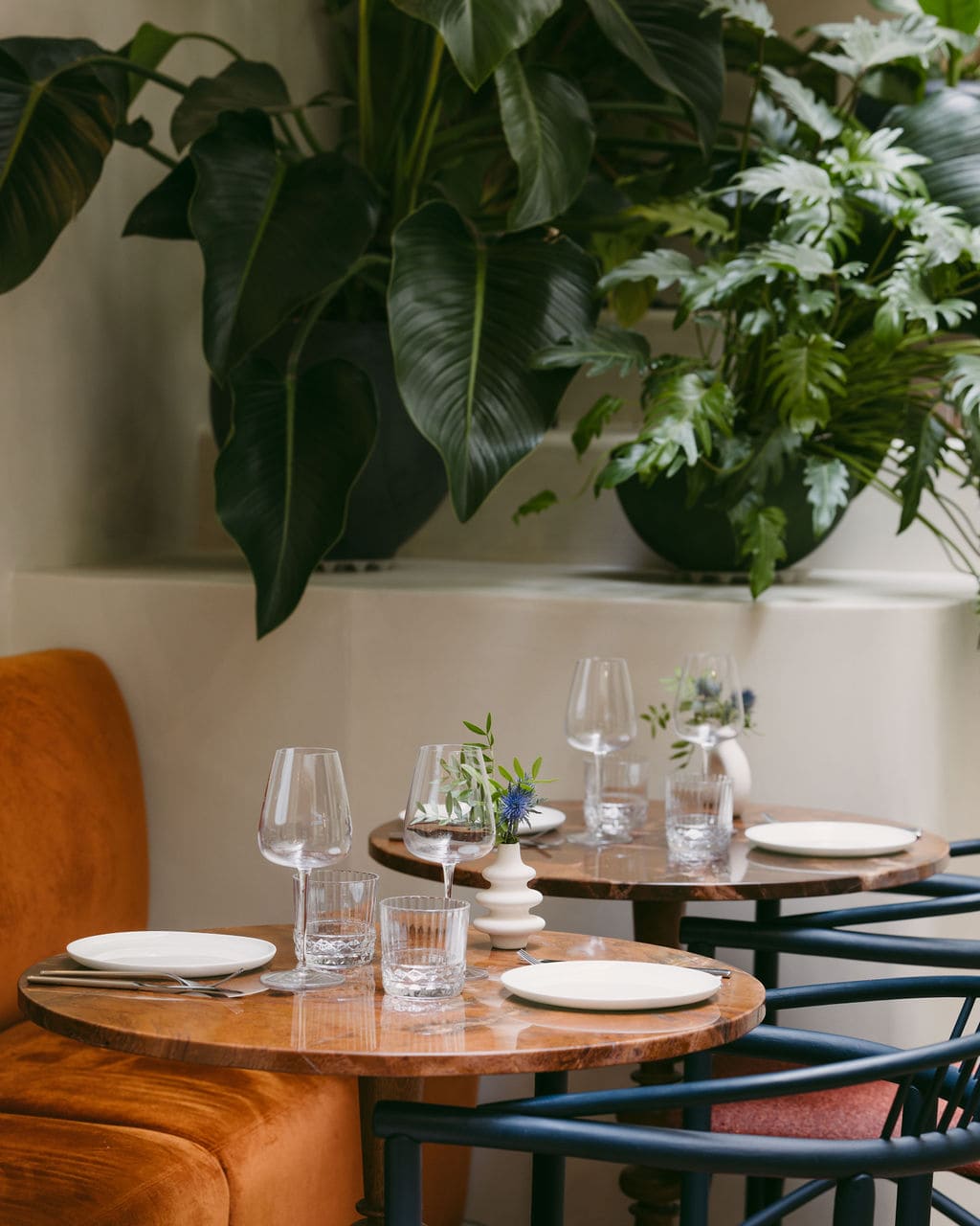 Buci Hotel, winter garden & table d'hôtes