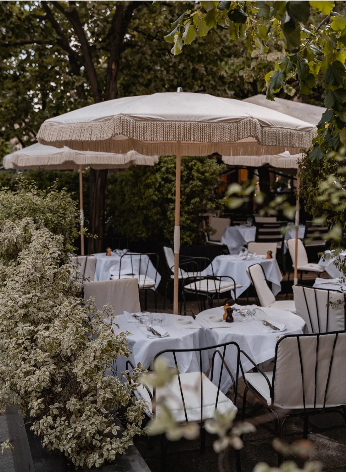 Buci Hotel — eat & drink