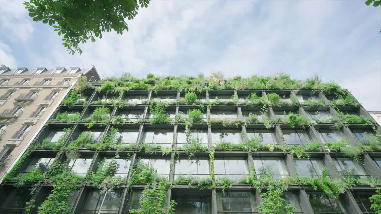 Villa M — backstory