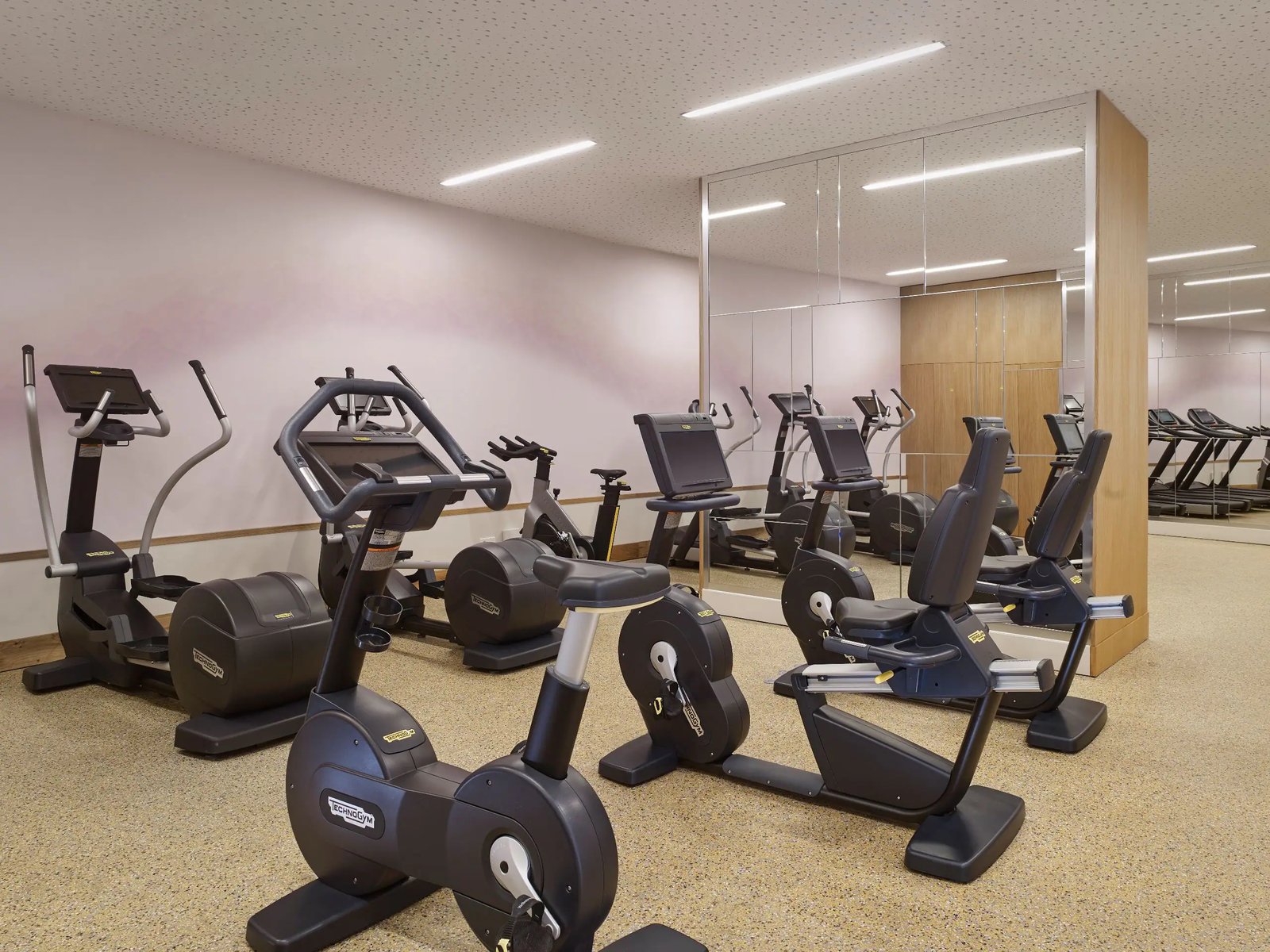 Hyatt Regency Paris Étoile — wellness