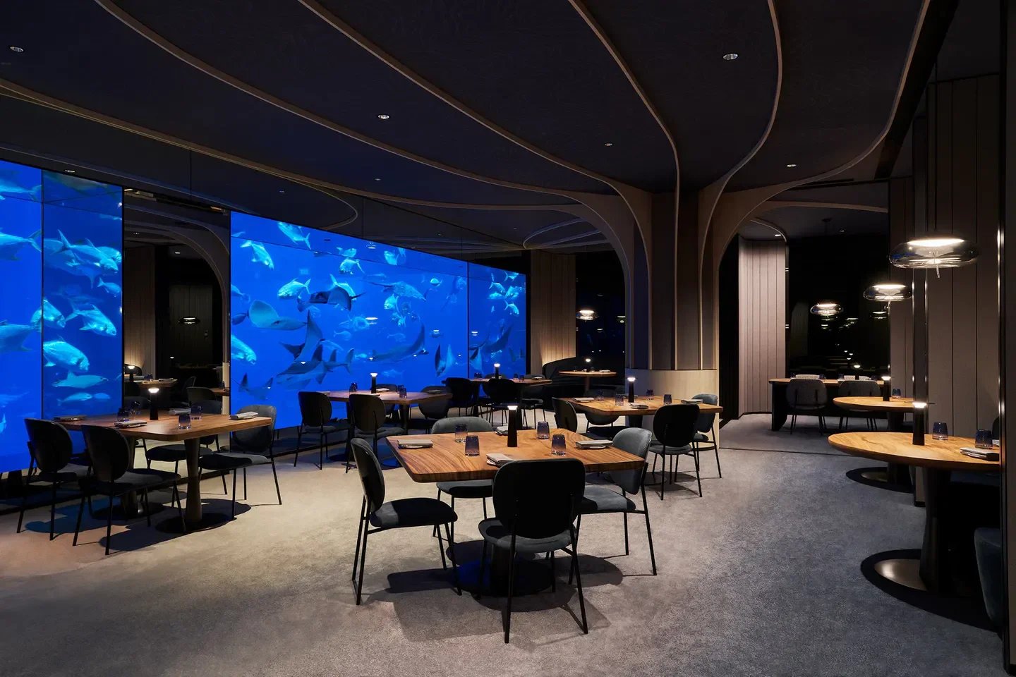 Equarius Hotel — eat & drink