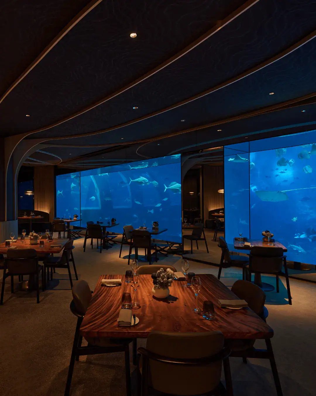 Equarius Villas — eat & drink