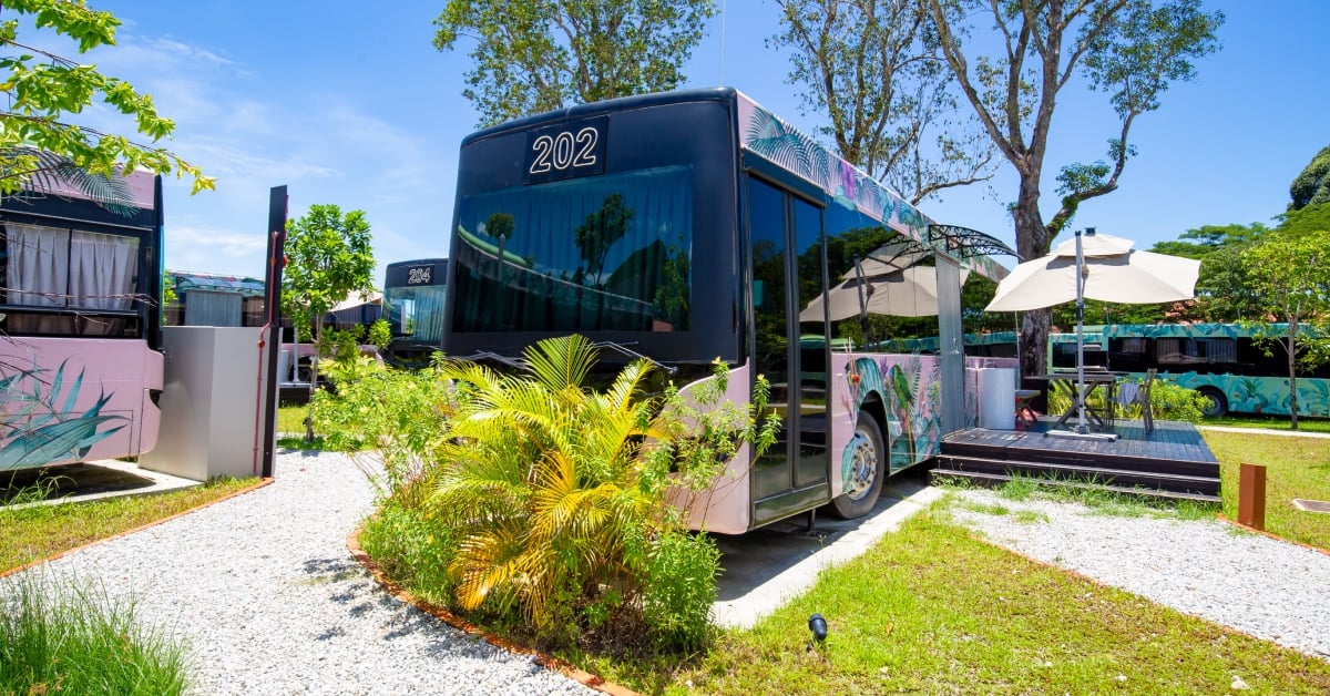 The Bus Collective — vibe