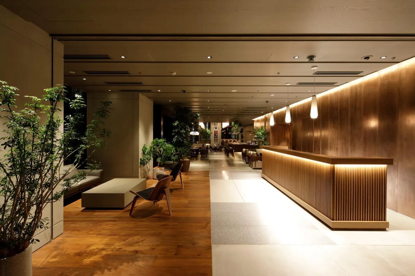 Hamacho Hotel, vibe