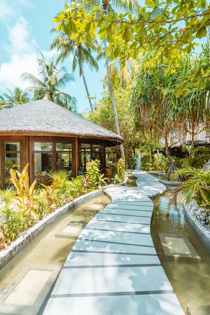 Ozen Reserve Bolifushi, vibe