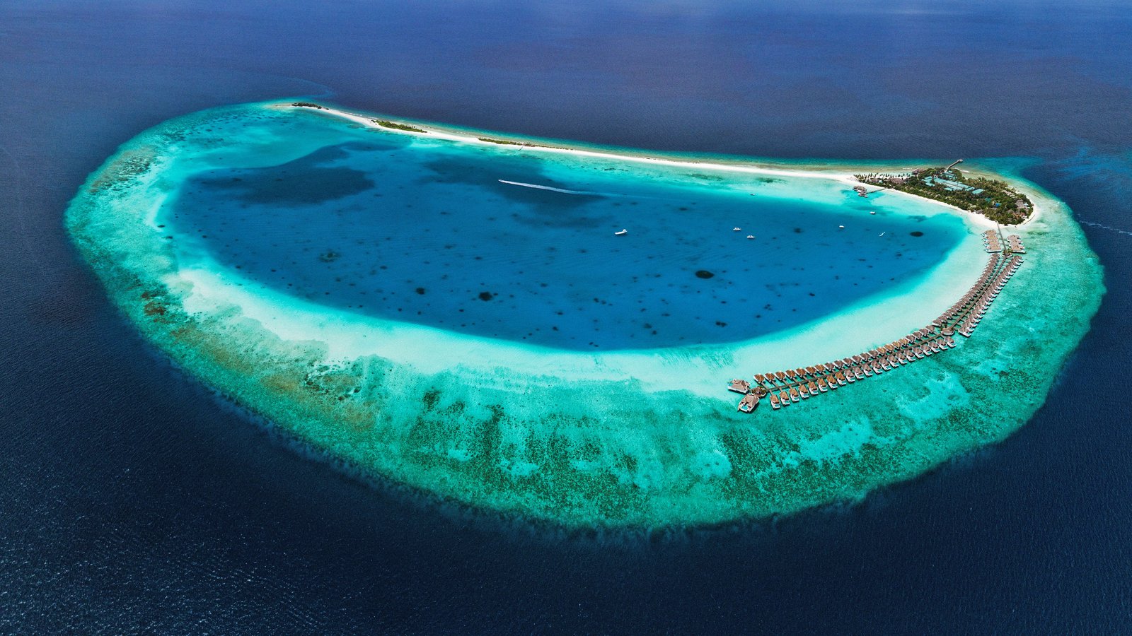 Finolhu, a Seaside Collection Resort, vibe