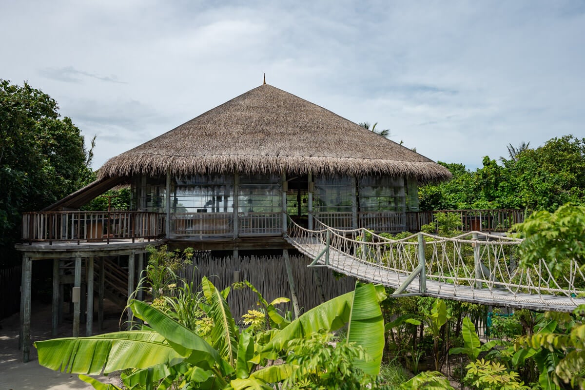 Six Senses Laamu, leaf
