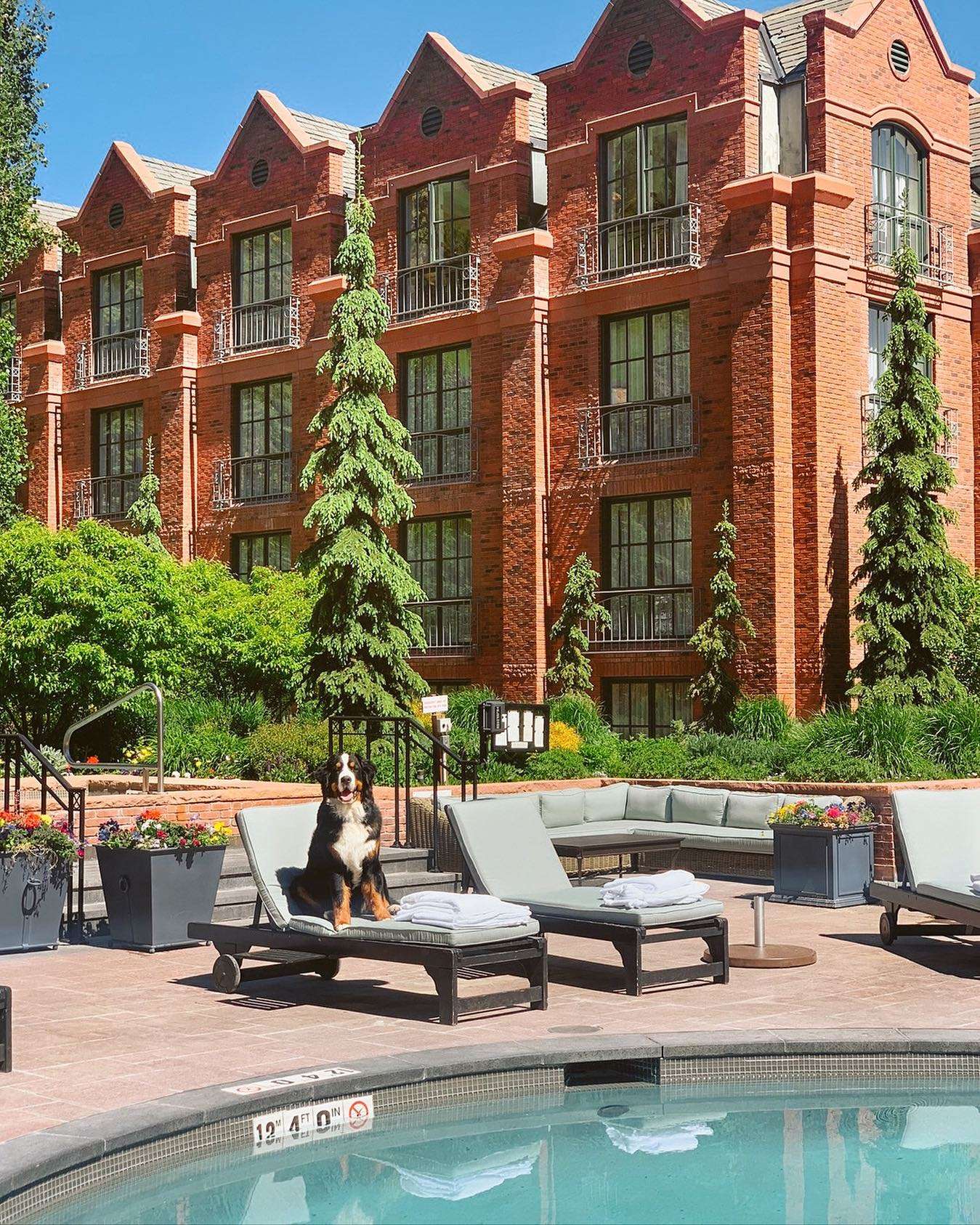 The St. Regis Aspen Resort, wellness