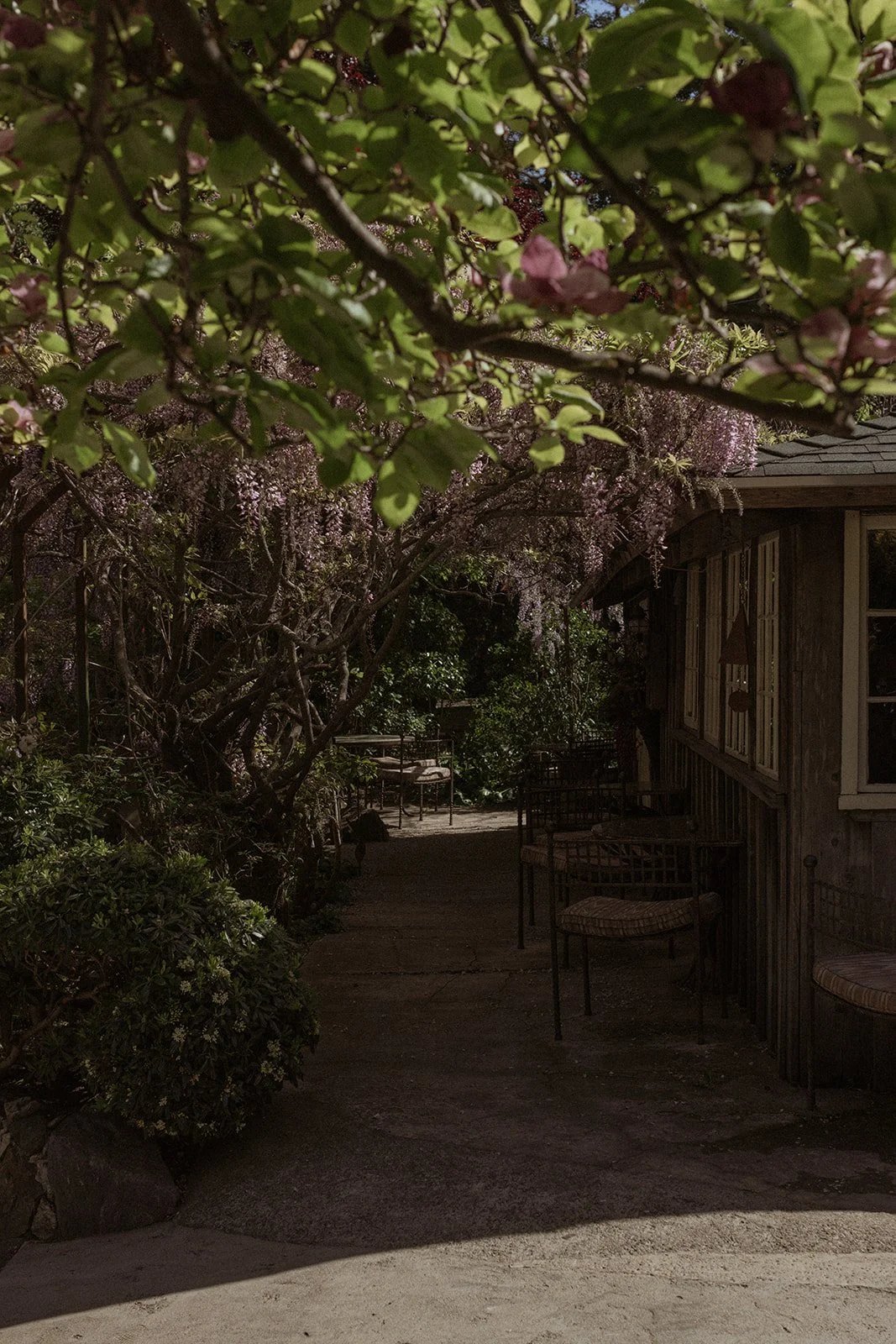 Deetjen's Big Sur Inn, vibe