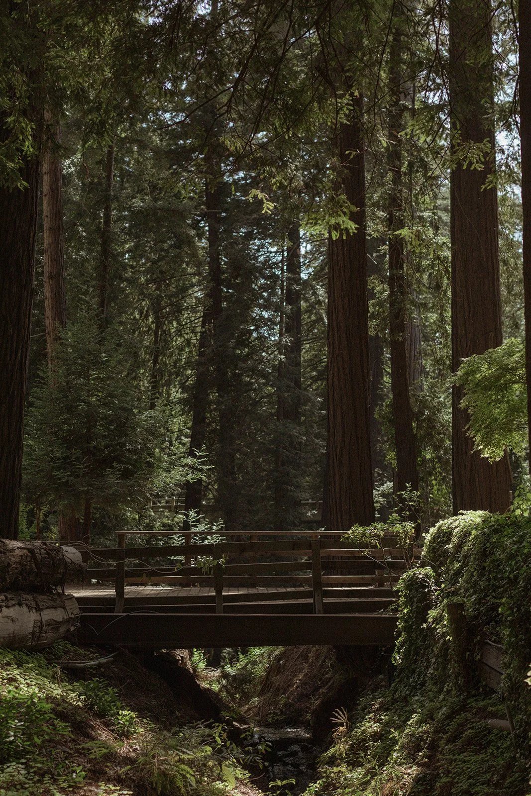 Deetjen's Big Sur Inn, vibe