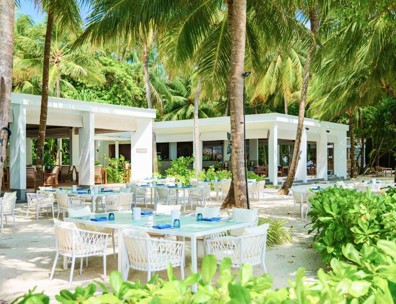 Amilla Maldives, eat & drink