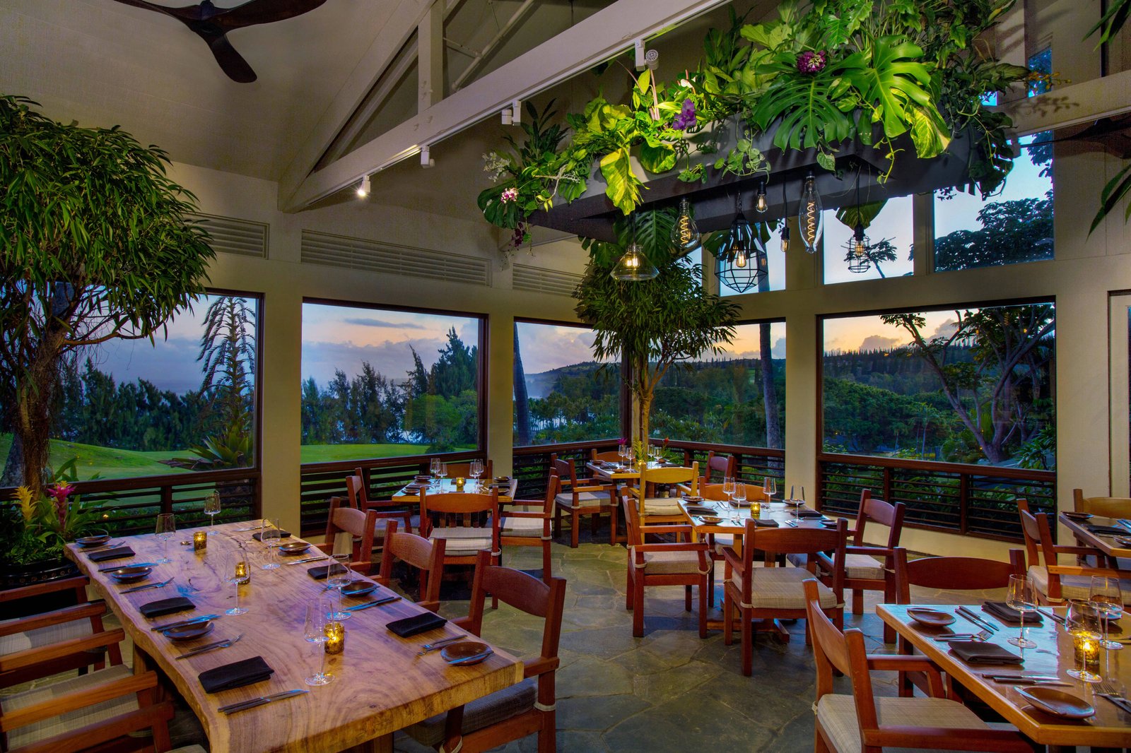 The Ritz-Carlton Maui, Kapalua, the banyan tree