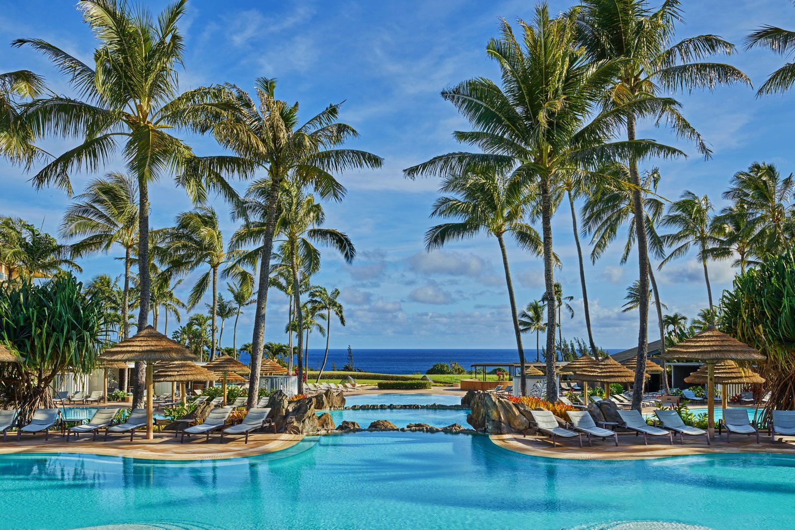 The Ritz-Carlton Maui, Kapalua, wellness