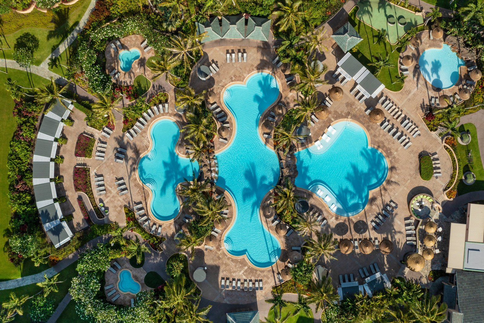 The Ritz-Carlton Maui, Kapalua, wellness