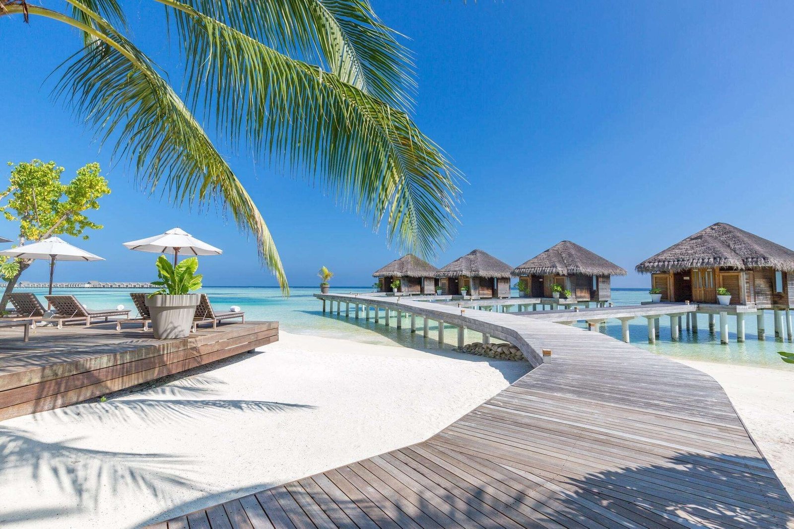 LUX South Ari Atoll, vibe